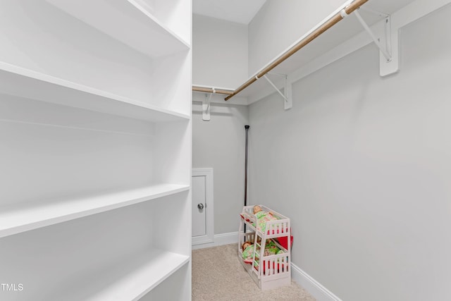 walk in closet with carpet floors