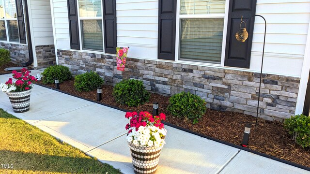 exterior space with stone siding