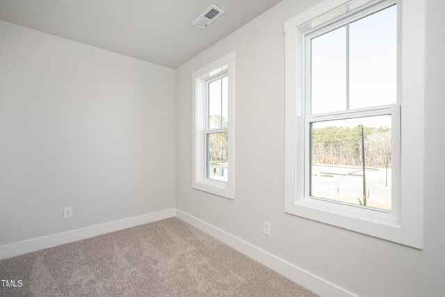 504 Yeowell Dr, Chapel Hill, NC 27514 - spare room with plenty of natural light and carpet floors