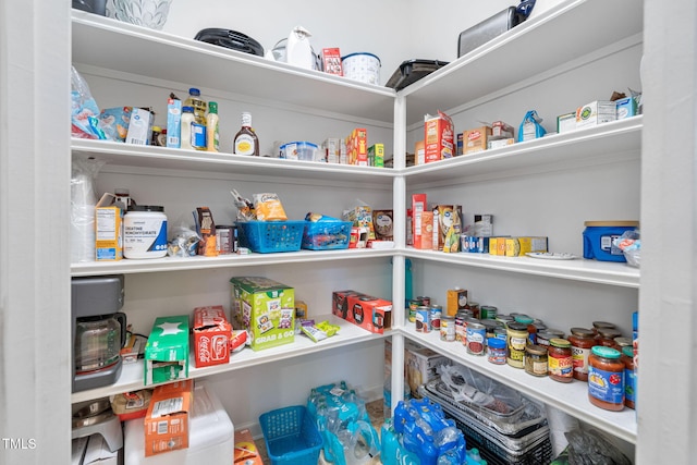 109 Skywater Ln, Holly Springs, NC 27540 - view of pantry