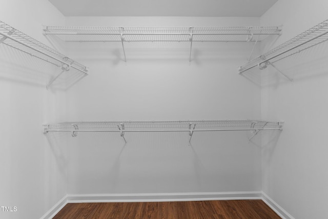 walk in closet featuring wood finished floors