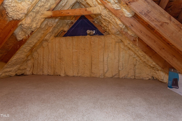 view of unfinished attic