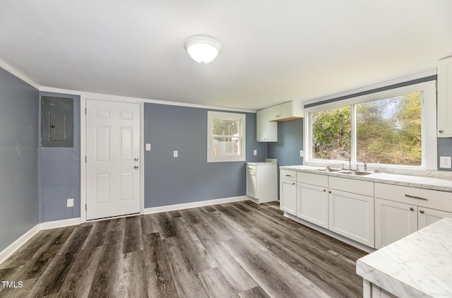 kitchen with electric panel, baseboards, dark wood finished floors, and a sink