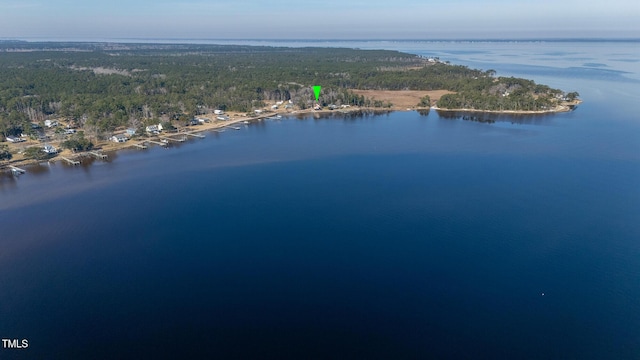 bird's eye view with a forest view and a water view