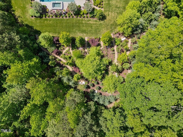 aerial view