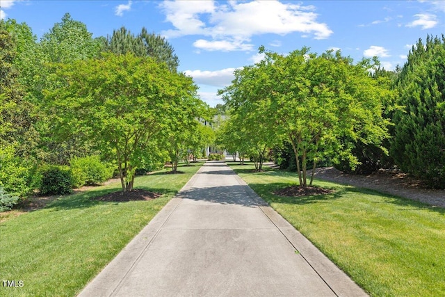 surrounding community with a lawn