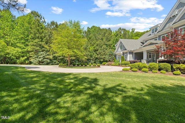 view of yard