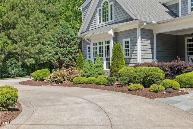 view of property exterior with roof with shingles and concrete driveway