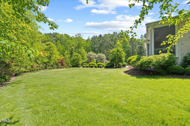 view of yard