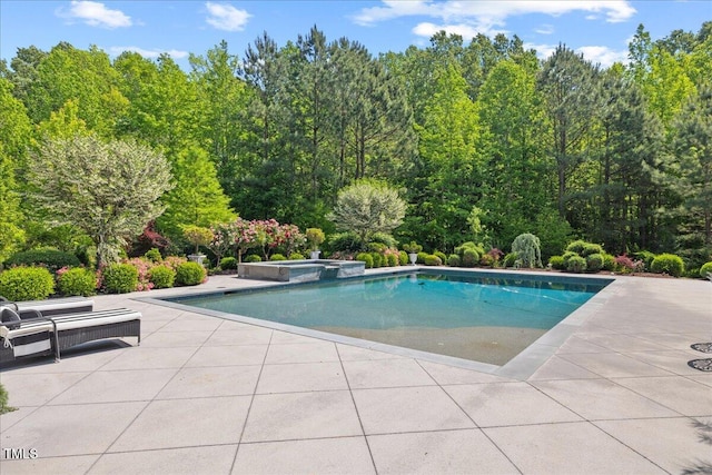 view of swimming pool with a patio area and a pool with connected hot tub