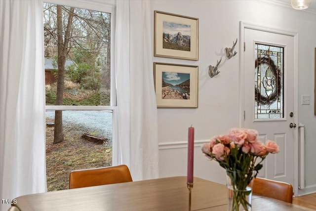 entryway with plenty of natural light