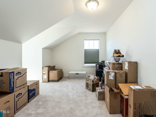 additional living space featuring carpet and vaulted ceiling