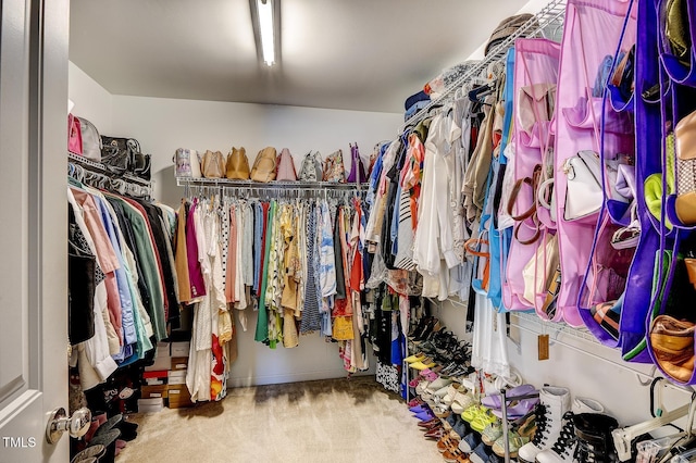 spacious closet with carpet flooring