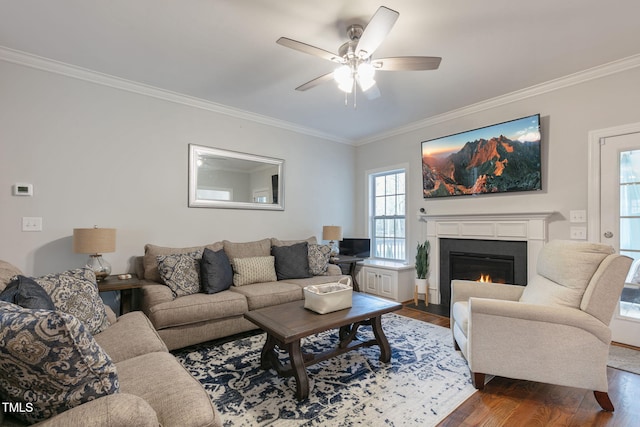 living area with a fireplace with flush hearth, a ceiling fan, dark wood finished floors, and crown molding