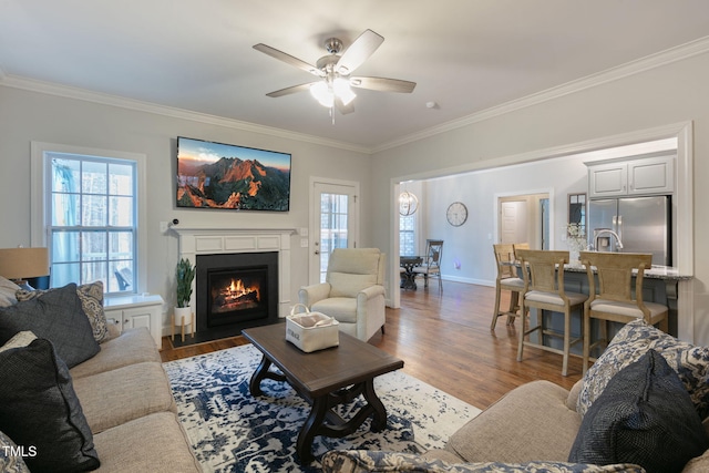 living room with ornamental molding, a wealth of natural light, and wood finished floors