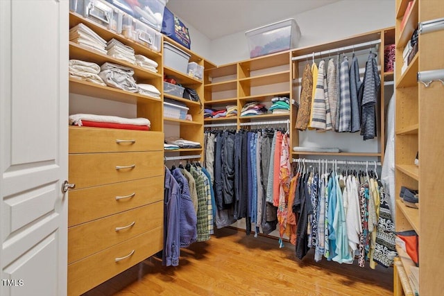 spacious closet with wood finished floors