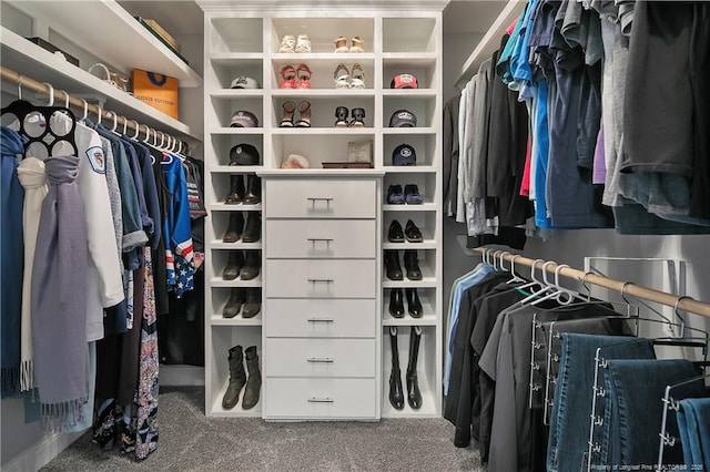 walk in closet featuring carpet floors