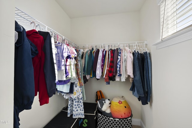 view of spacious closet