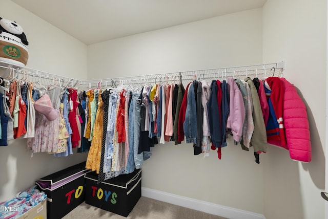 spacious closet featuring carpet