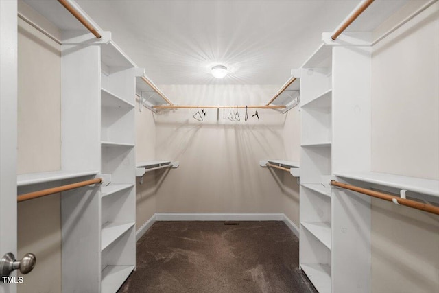 walk in closet featuring carpet flooring