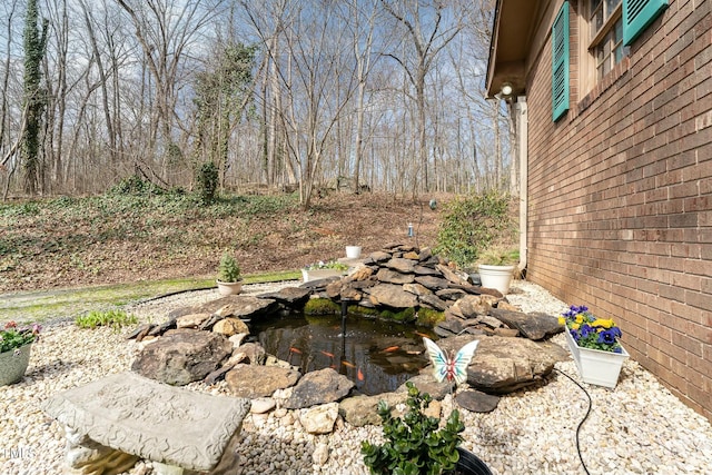 view of yard with a small pond