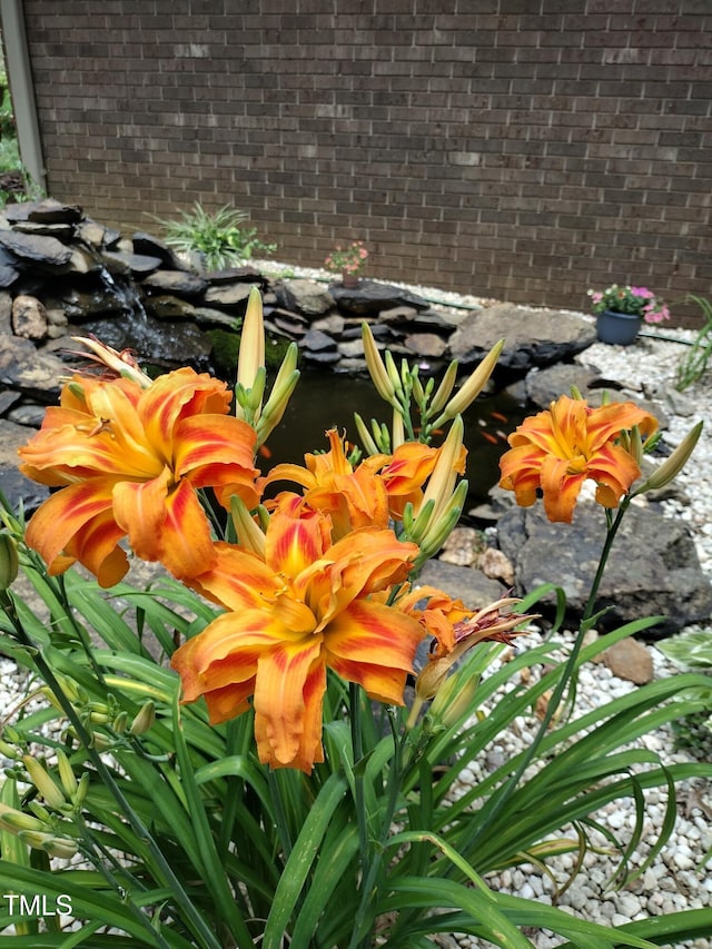 details featuring brick siding and a small pond