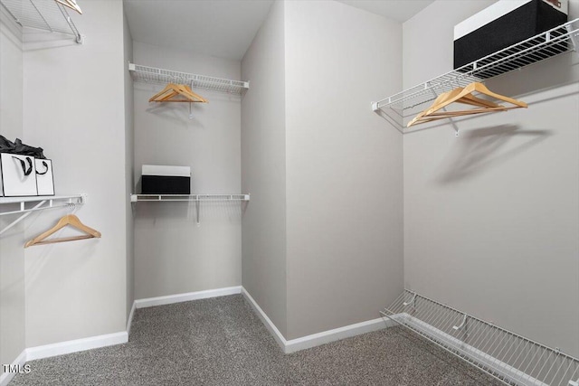 spacious closet with carpet flooring