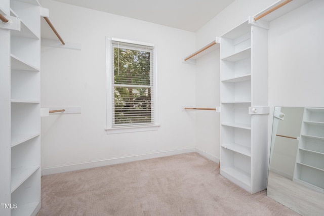155 Georgetown Woods Dr, Youngsville, NC 27596 - spacious closet featuring carpet flooring