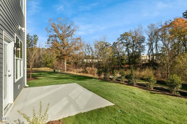 view of yard with a patio area