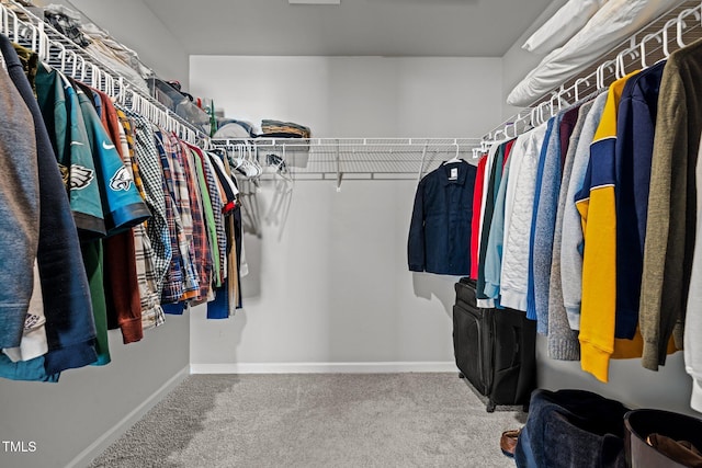 350 Arlie Ln, Lillington, NC 27546 - spacious closet with carpet floors