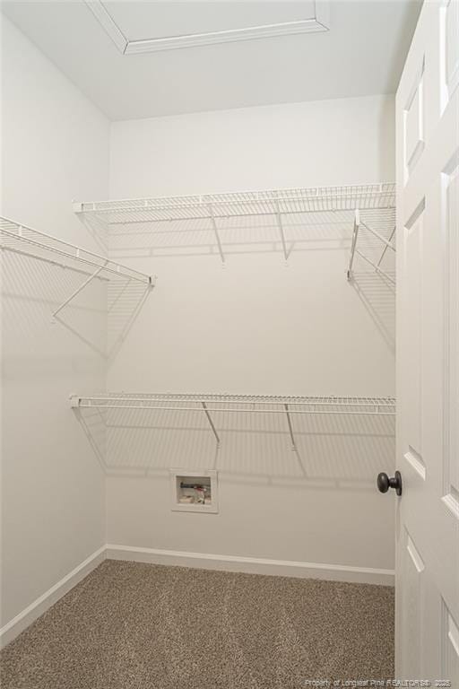 spacious closet featuring carpet flooring