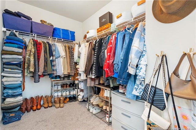 walk in closet with carpet flooring