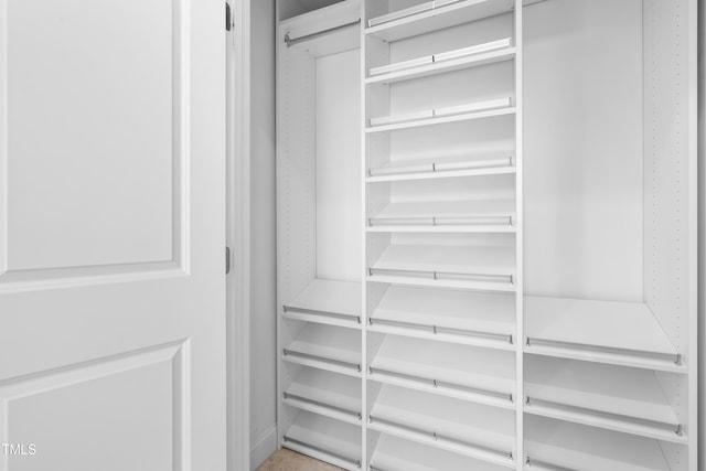 view of closet