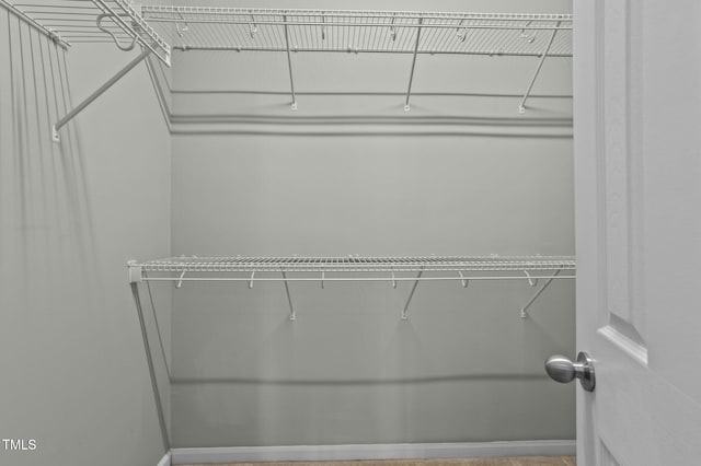 view of walk in closet