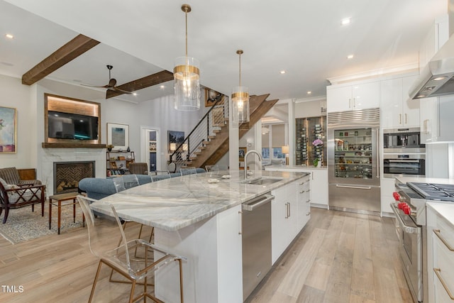 kitchen with premium appliances, wall chimney exhaust hood, light wood-style flooring, a fireplace, and a sink