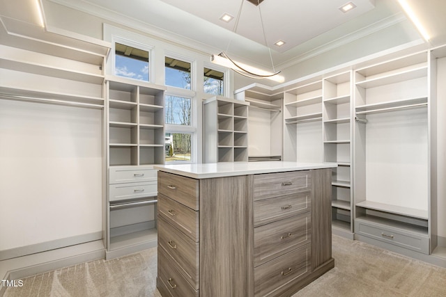 spacious closet with light colored carpet