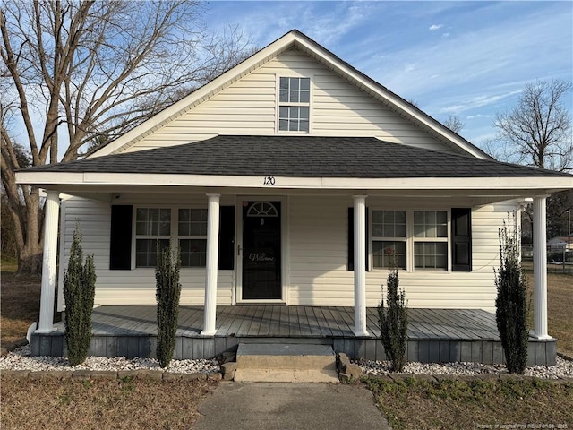 bungalow featuring covered porch and roof with shingles