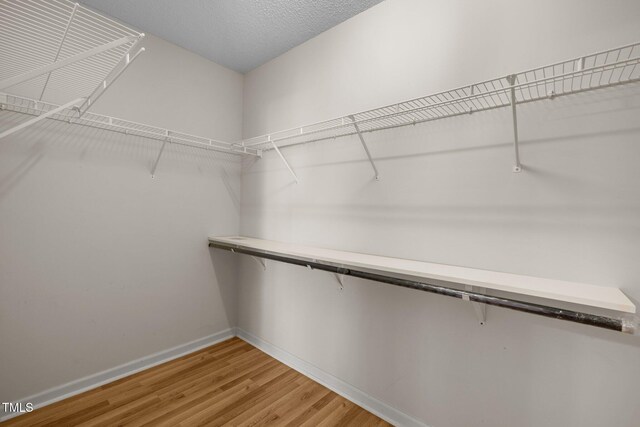 spacious closet with light wood finished floors