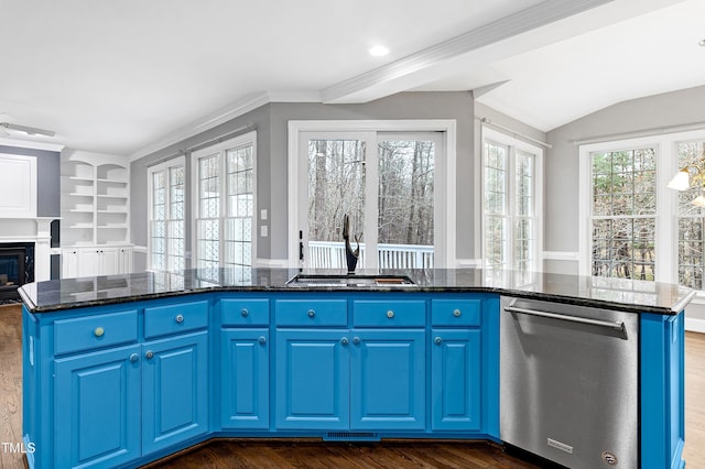 kitchen featuring dark wood-type flooring, a sink, stainless steel dishwasher, a glass covered fireplace, and dark stone counters