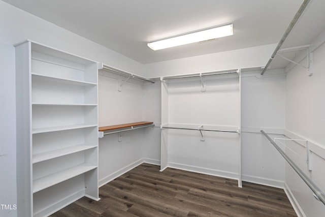 walk in closet featuring dark wood-style floors