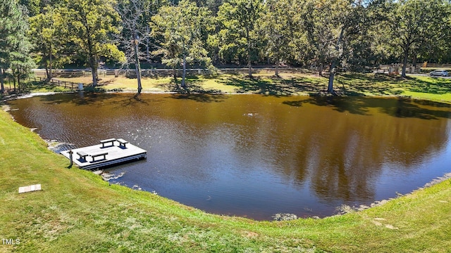 dock area featuring a water view