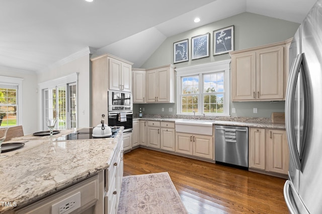 kitchen with dark wood-style flooring, appliances with stainless steel finishes, a sink, vaulted ceiling, and light stone countertops