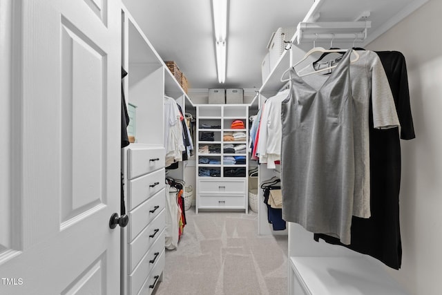 walk in closet featuring light carpet