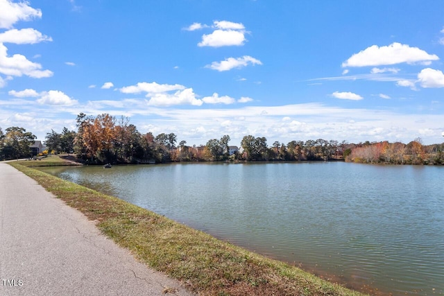 property view of water