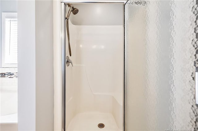 bathroom with plenty of natural light and a shower stall