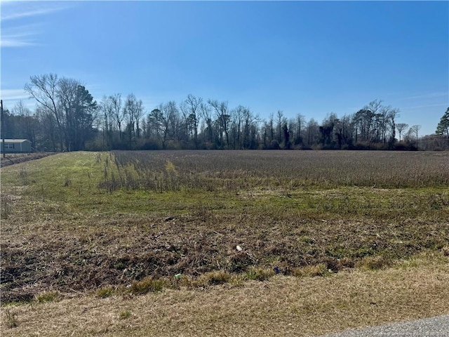 Howell Rd, Saint Pauls NC, 28384 land for sale