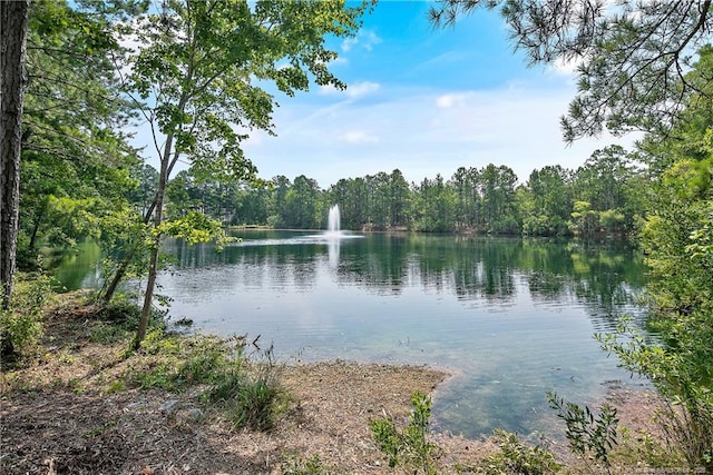 water view with a view of trees