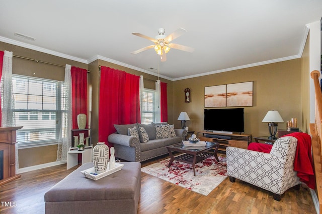 11843 Canemount St, Raleigh, NC 27614 - living room with a ceiling fan, visible vents, baseboards, ornamental molding, and wood finished floors