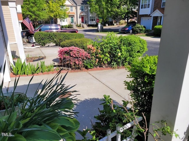 11843 Canemount St, Raleigh, NC 27614 - view of patio / terrace