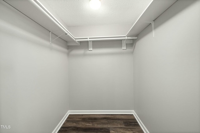 spacious closet featuring wood finished floors